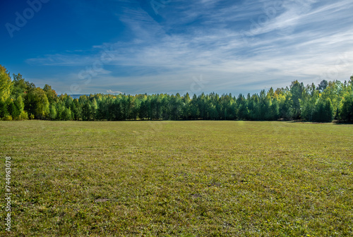 Принти на полотні A field with mown grass near the forest.