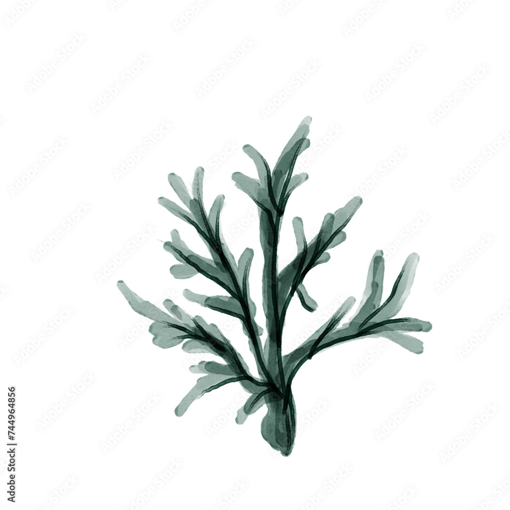 Coral fit for sea ocean poster Coral fit for sea ocean poster