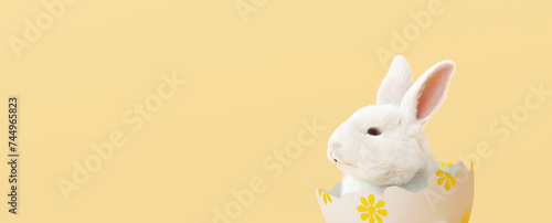 Easter bunny in eggshell on yellow background. 3d rendering
