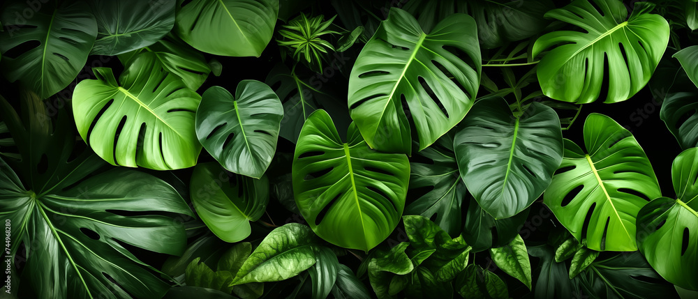 Green tropical garden floral patterns, Fresh Green Leaves. Generative AI