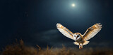 Tiny cute owl flying in the moon  night background ai generative
