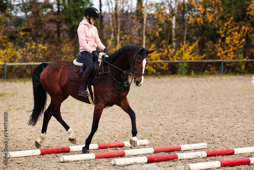 Horse with rider on the riding arena doing ground work with trotting poles. photo