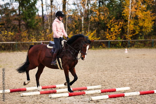 Horse with rider on the riding arena doing ground work with trotting poles. photo