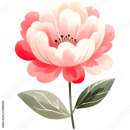 Fototapeta Naklejka Na Ścianę i Meble -  Watercolor peony flower clipart with transparent background