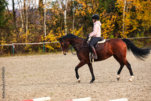 Horse with rider on the riding arena doing ground work with trotting poles. photo