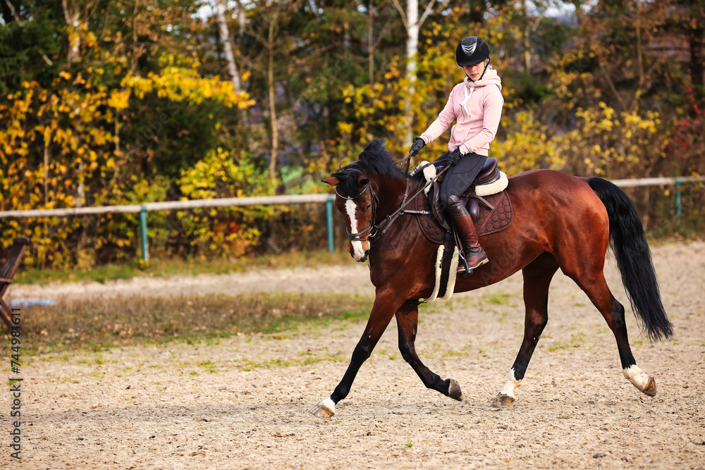 Horse with rider on the riding arena doing ground work with trotting poles. Horse with rider on the riding arena doing ground work with trotting poles.