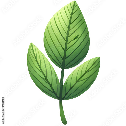 Green leaf watercolor clipart with transparent background