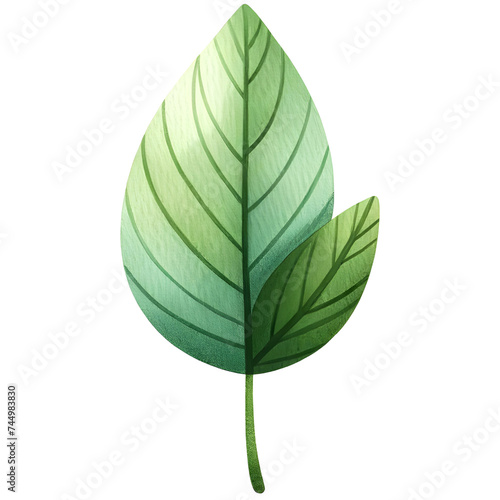 Green leaf watercolor clipart with transparent background