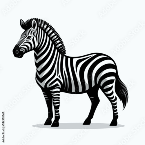 zebra