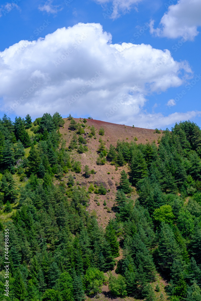Obraz premium Sommet d'un vieux volcan éteint (Puy de Lassolas, Auvergne)