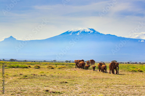 An Elephant herd on the move under the shadow of Africa's highest mountain - Kilimanjaro in this spectacular and timeless, classic African scene at the Amboseli National Park, Kenya © InnerPeace