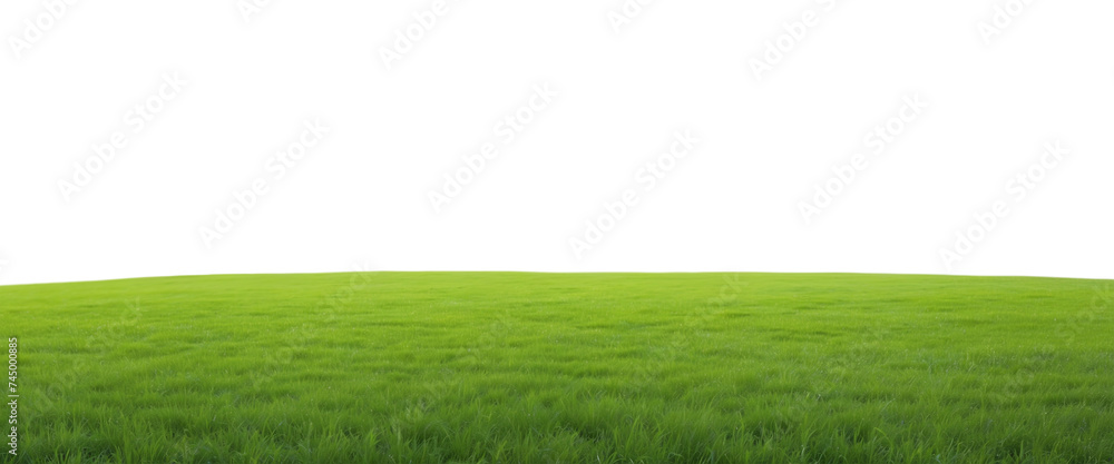 Natural view of grass hills on transparent background Natural view of grass hills on transparent background