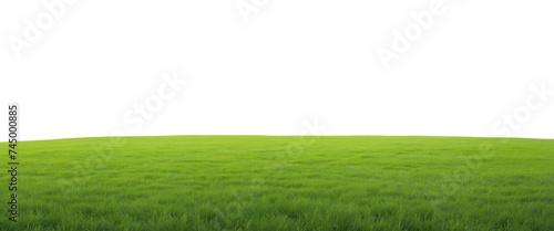 Natural view of grass hills on transparent background photo