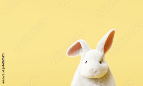 Easter bunny on yellow background. 3d rendering