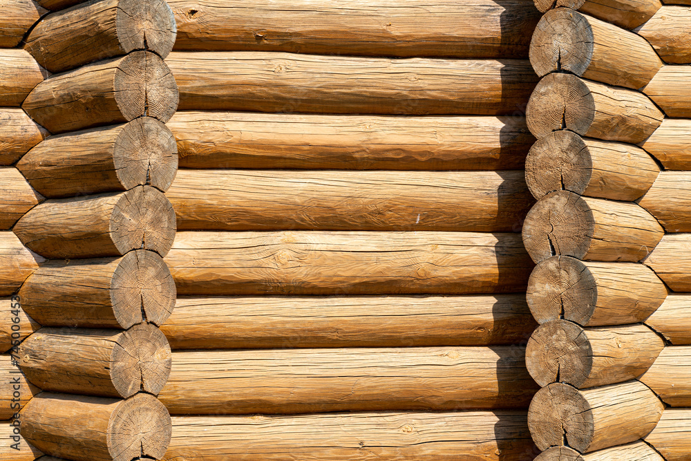 Different tree planks structure in fence and planks. Different tree planks structure in fence and planks.