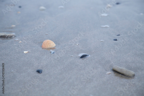 Strand, Sand, Muscheln