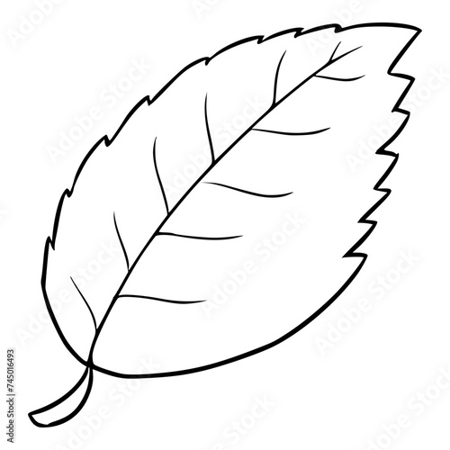 menthol leaf illustration hand drawn outline isolated vector