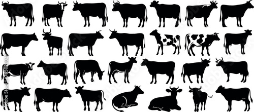 Cow silhouettes in diverse positions, perfect for agriculture, dairy products, and farm-themed designs. Ideal for livestock management, sustainable agriculture, and animal husbandry photo