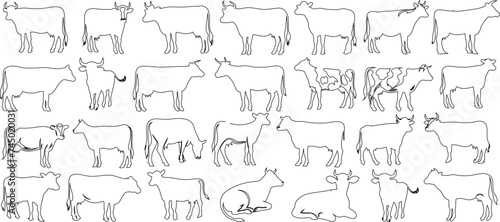 Outlined cows in various poses, perfect for educational, farming content. Simple, minimalistic, modern cow line art on a white background. Ideal for animal themed designs photo
