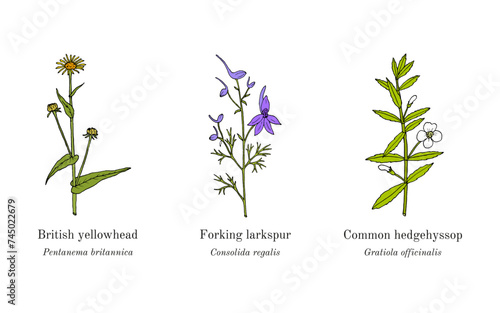 Collection of edible and medicinal plants