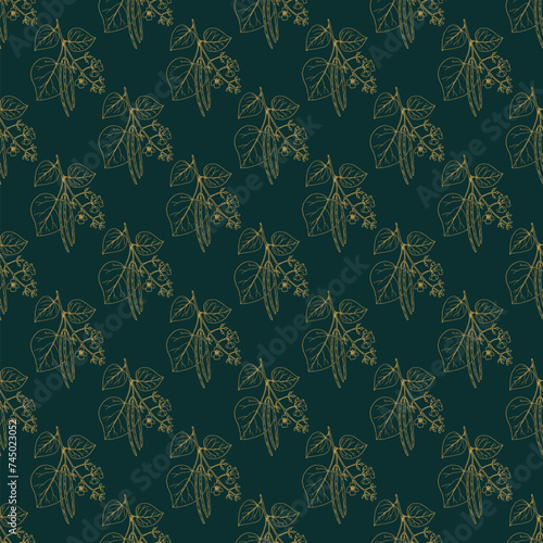 Seamless vector pattern with hand drawn southern catalpa,