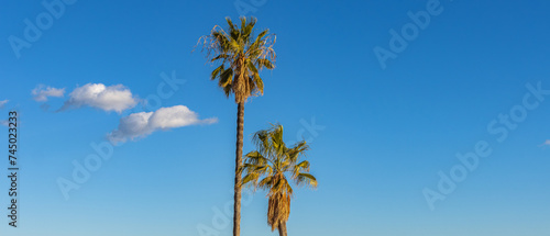 Benidrom, Spain -January 6 2024 "Lovely coast of south Spain during the winter" © Jakub