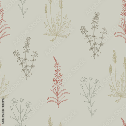 Seamless vector pattern with hand drawn edible herbs and medicinal plants