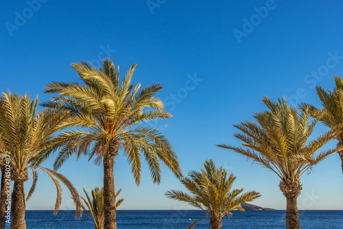 Benidrom, Spain -January 6 2024 "Lovely coast of south Spain during the winter" © Jakub