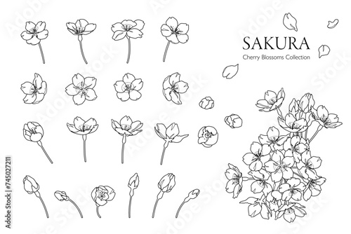 手描きの桜の花の線画イラスト（モノクロ／パーツ分け）