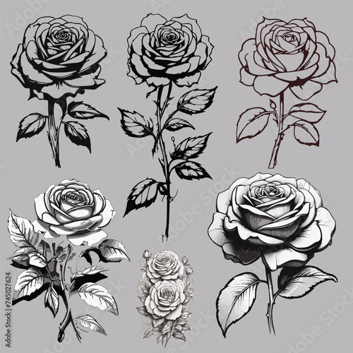 Set of decorative rose with leaves. Flower silhouette. Vector illustration