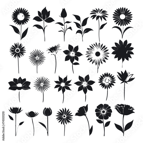 collection of flowers silhouettes design vector design illustration