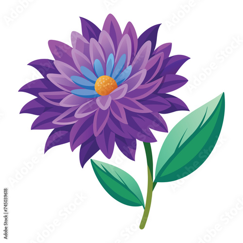 Vector of illustration aster on white