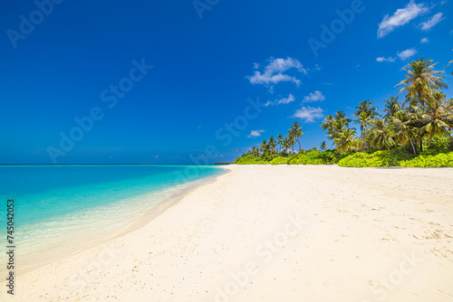 Beautiful  relaxing outdoor landscape of tropical island beach. Palm trees over blue azure ocean lagoon. Exotic traveling destination  summer vacation  beach seaside. Colorful nature sea sand sky view