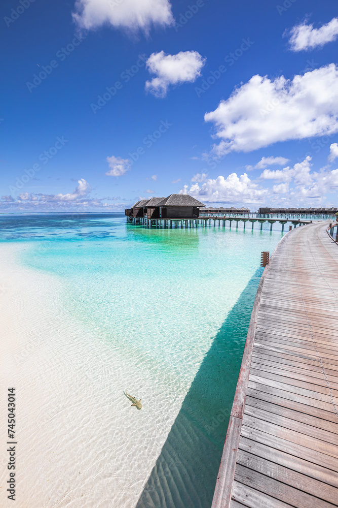 Amazing sea bay relax sky exotic coastal landscape Maldives beach. Tropical azure blue seascape, luxury water villa resort wooden pathway jetty. Stunning travel destination summer vacation tourism