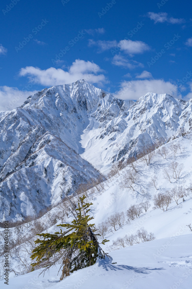 【北アルプス】冬の小遠見山山頂から見る鹿島槍ヶ岳