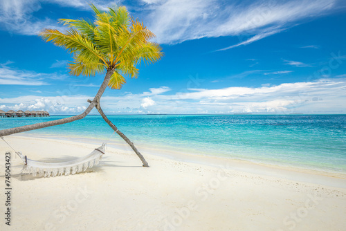Tropical paradise background as summer landscape. Carefree luxury beach swing or hammock, relax tranquil white sand and sunny sea sky for beachfront. Amazing seaside coast vacation and summer tourism