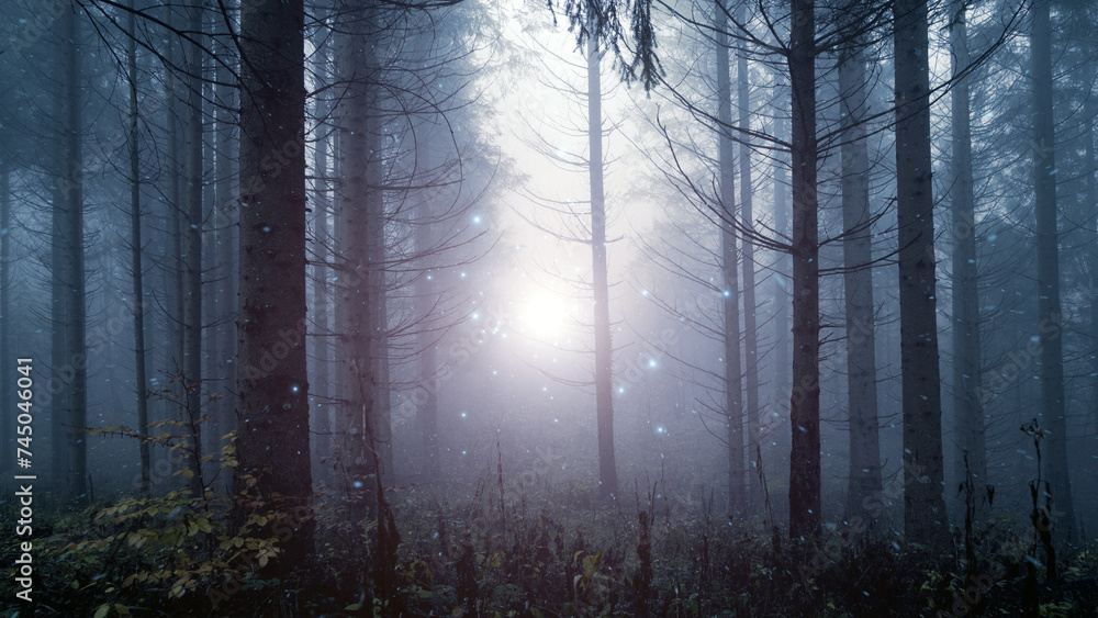 Fototapeta premium Magical foggy fairy tale forest with fireflies.
