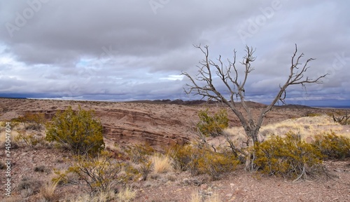panoramic views while hiking in the box canyon recreation area in winter on a stormy day, near socorro, new mexico