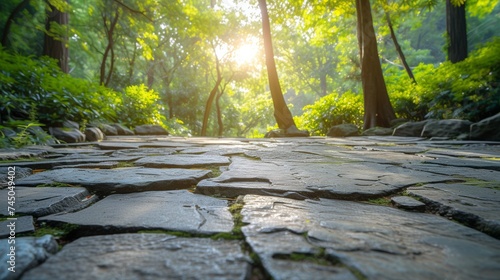 Fototapeta Naklejka Na Ścianę i Meble -  Empty stone floor with jungle background for advertising, 3D rendering of realistic presentation, 3D, illustration, render 