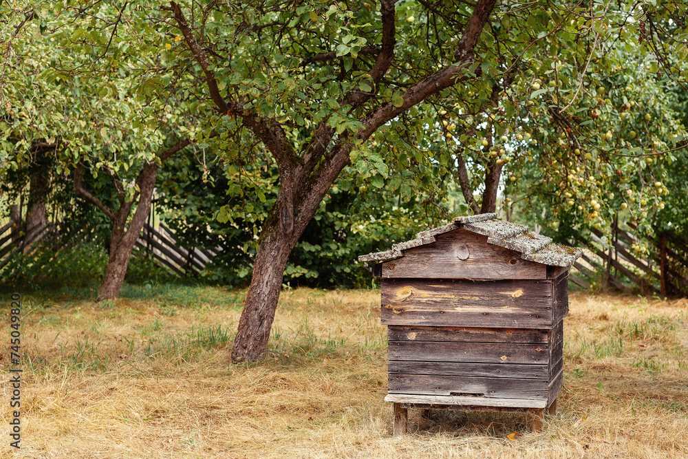 Wooden old beehive apiary in a garden on a field. Vintage bee hive for honey healthy food products. Agriculture farming building for flying insects. Wooden old beehive apiary in a garden on a field. Vintage bee hive for honey healthy food products. Agriculture farming building for flying insects.