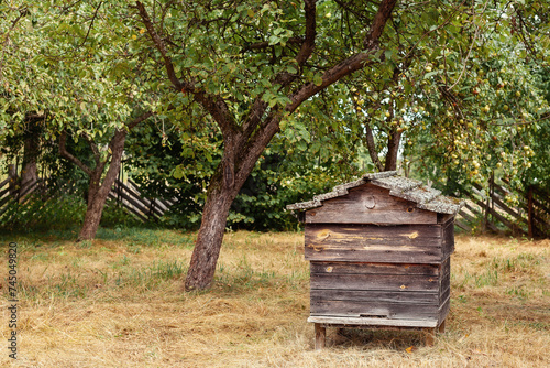 Wooden old beehive apiary in a garden on a field. Vintage bee hive for honey healthy food products. Agriculture farming building for flying insects.