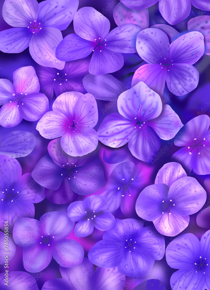Blue Purple Hydrangea Flowers Blue Purple Hydrangea Flowers