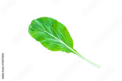 Green Leaf of a green mustard isolated on white background, Organic Vegetable