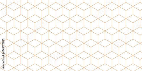 Seamless geometric pattern diamond triangular cells. Background with hexagons.