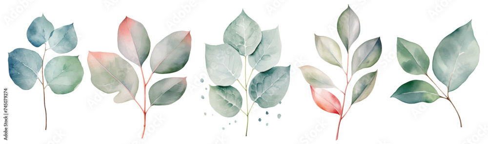 Watercolor greenery branch leaves twigs floral plant forest herbs isolated white background. Botanical leaf illustration