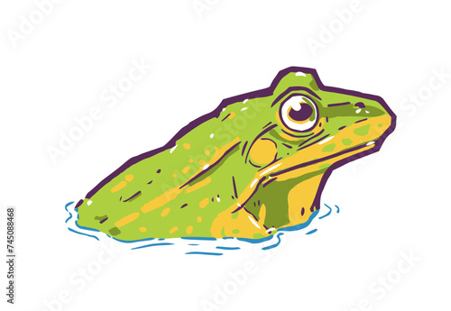 Vector illustration of floating frog in water in color
