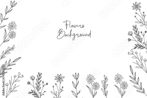 Botanical drawing. Minimal plant logo, meadow greenery, leaf and blooming flower abstract sketch element collection, linear rustic branch. Vector hand drawn wedding invitation bouquet decoration set