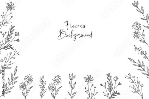 Set hand drawn curly grass and flowers on white isolated background. Botanical illustration. Decorative floral picture.