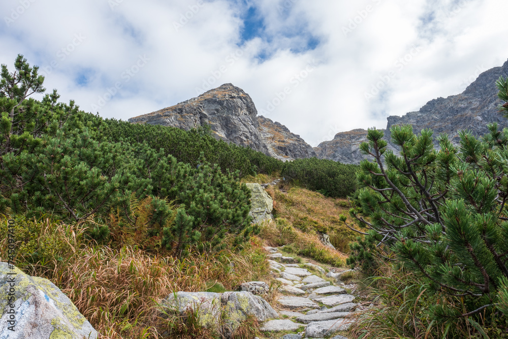 Rocky hiking trail leading through forest and bush towards Karb Mountain in Poland's Tatra National Park