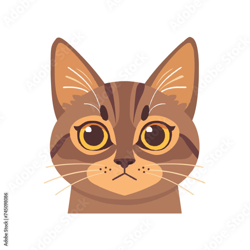 Cat icon, color cat vector color illustration kitty flat design